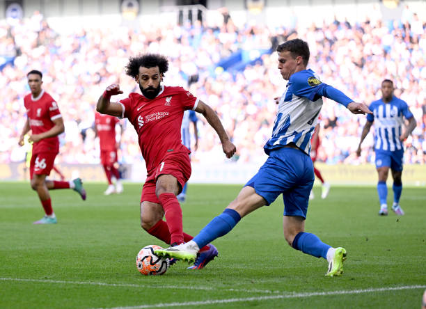 是自损实力 是自损实力